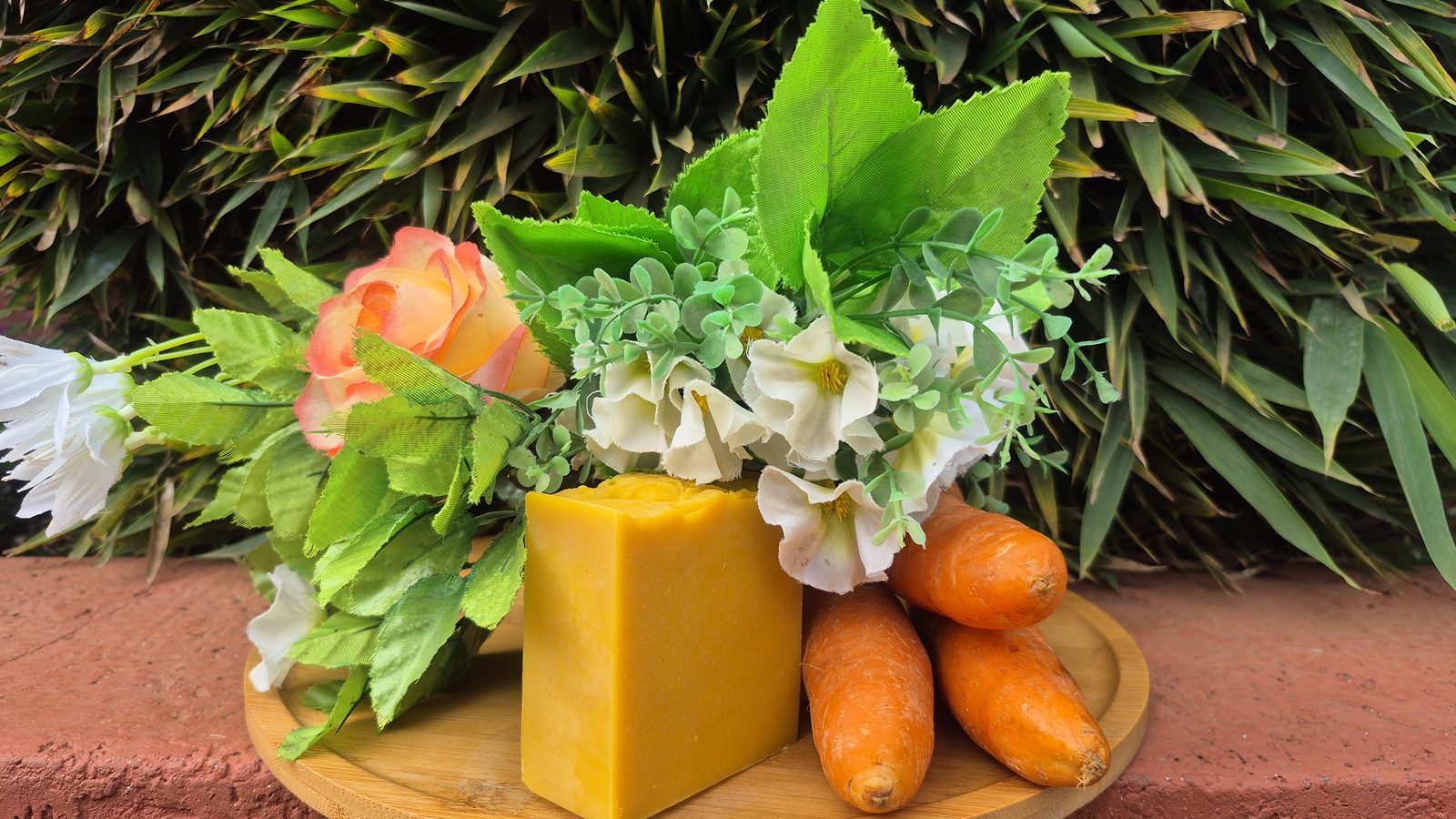 Carrot 1